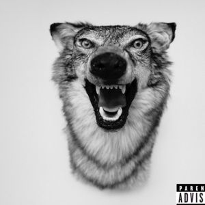 Meet your Posher, Eva